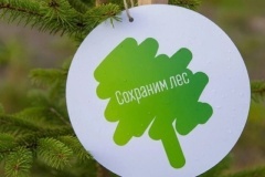 Всероссийская акция «Сохраним лес»