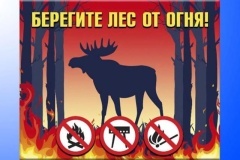 Причина природных пожаров: брошенный окурок, подожжённая трава, непотушенный костёр. Останови огонь!