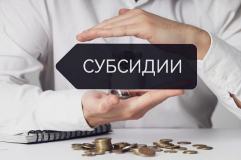 Предоставление субсидий сельхозпроизводителям