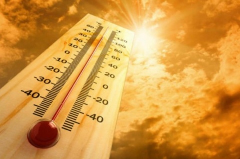 Как избежать солнечных и тепловых ударов          