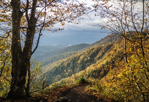 Приглашаем на Осенний фестиваль с видом на горы 