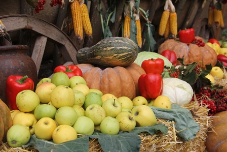 Владельцам КФХ и ЛПХ