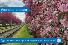 Итог месяца: самый частый вопрос апреля