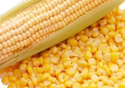 Аграрии района завершили обмолот кукурузы