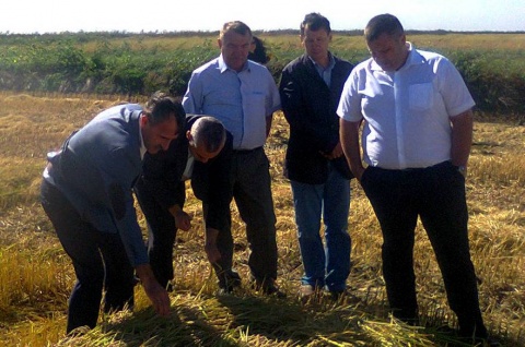 Калининский район посетил министр сельского хозяйства