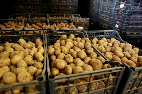 Картофелю, выращенному в Калининском районе, присвоили географическое наименование 