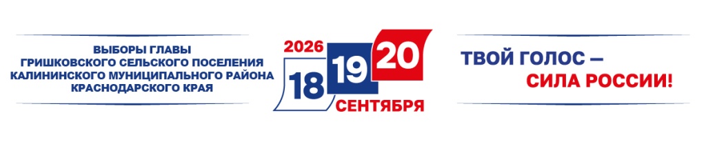 Выборы ДГД_баннер на сайт 1200х245.jpg